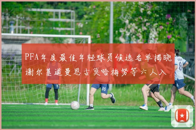 PFA年度最佳年轻球员候选名单揭晓谢尔基道曼恩古莫哈梅努等六人入围